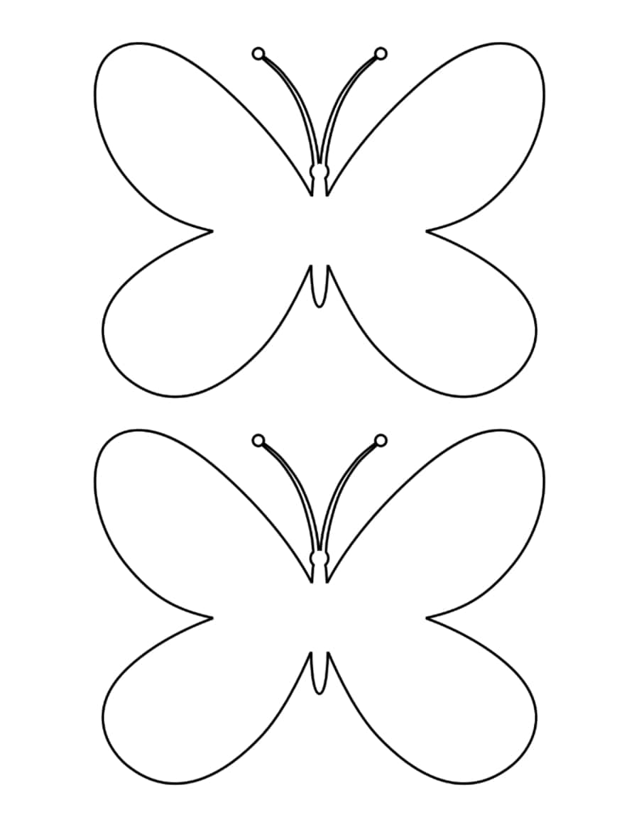 Butterfly Simple Outline 2 Medium Tracing Shape Pdf Free Vectors